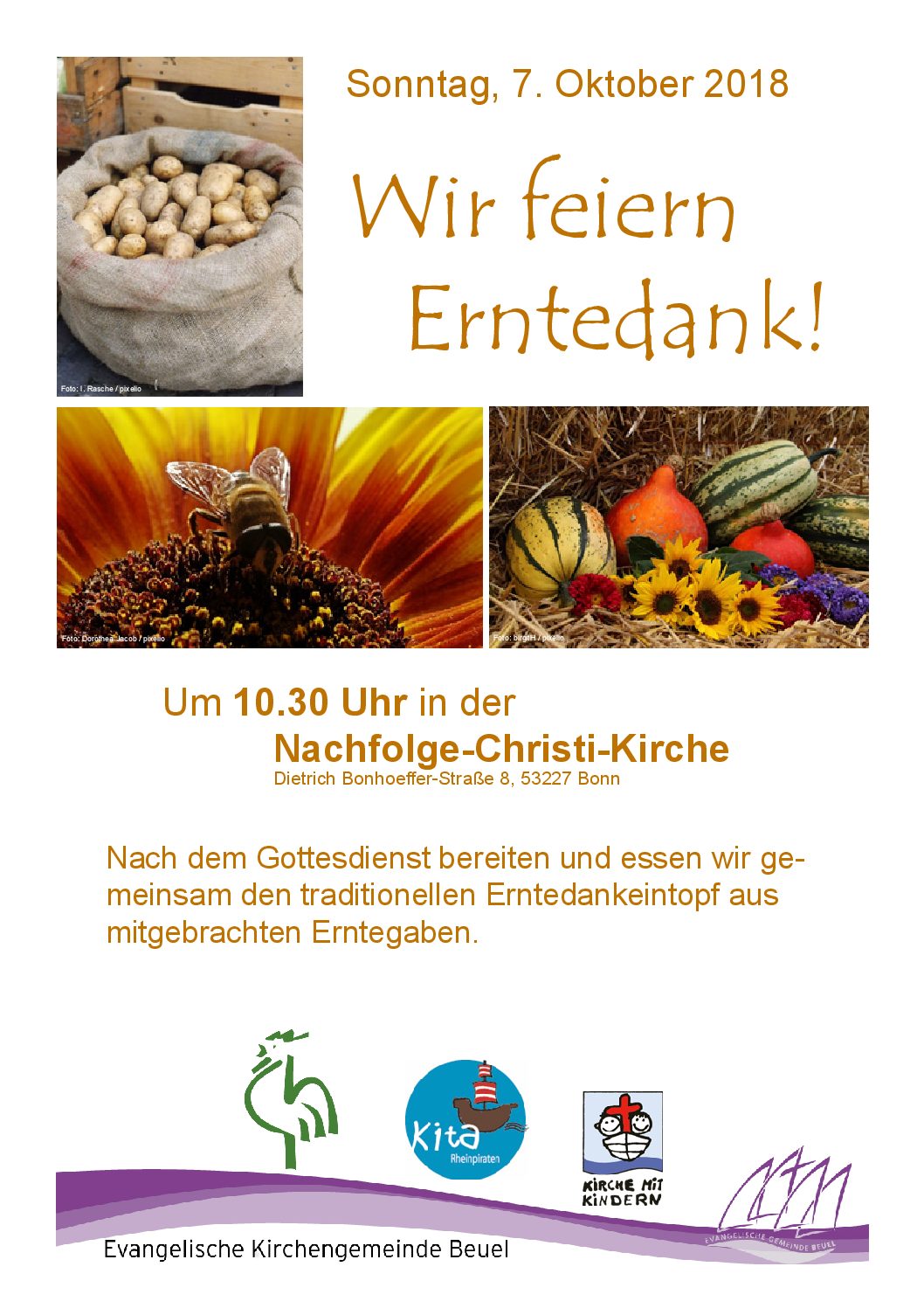 Auch für Honig & Kartoffel – Gott sei Dank! Auch für Honig & Kartoffel – Gott sei Dank!