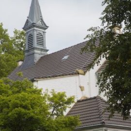 Gespräche auf der Wiese