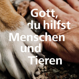 „Gott hilft Menschen und Tieren“ – Gottesdienst für alle Generationen auf der Wiese an der Versöhnungskirche, Sonntag, 7. September, 11.15 Uhr
