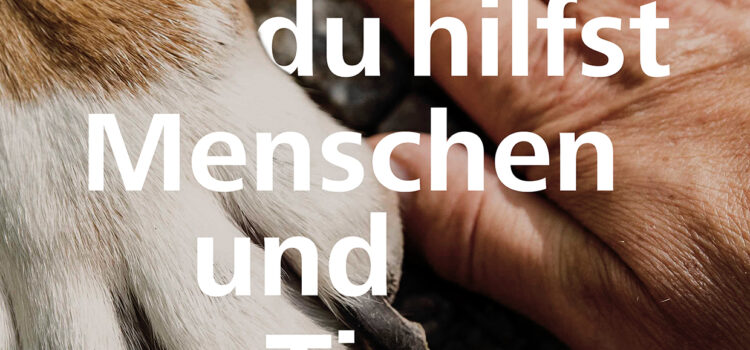 „Gott hilft Menschen und Tieren“ – Gottesdienst für alle Generationen auf der Wiese an der Versöhnungskirche, Sonntag, 7. September, 11.15 Uhr