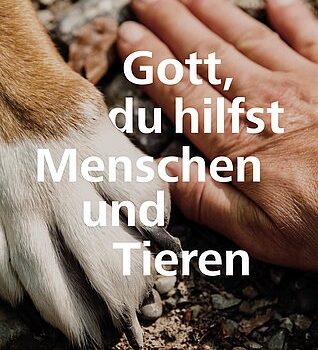 Ökumenische Vesper zum Tag der Schöpfung Ökumenische Vesper zum Tag der Schöpfung